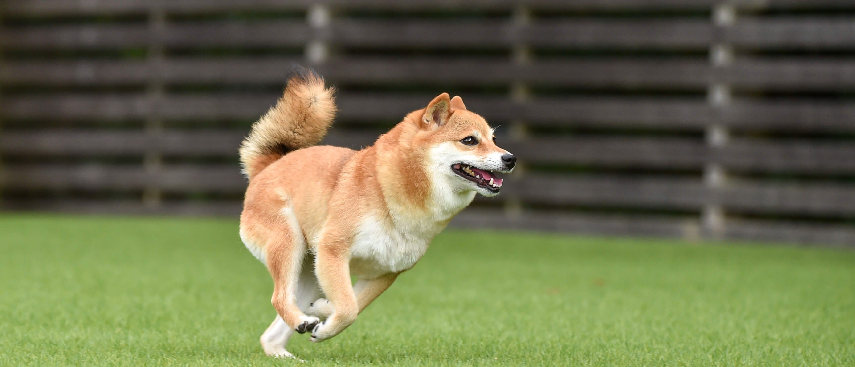 夏でも冬でもさぁ、キャンプ